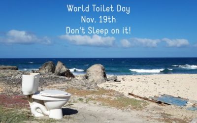 Why Is There a World Toilet Day?