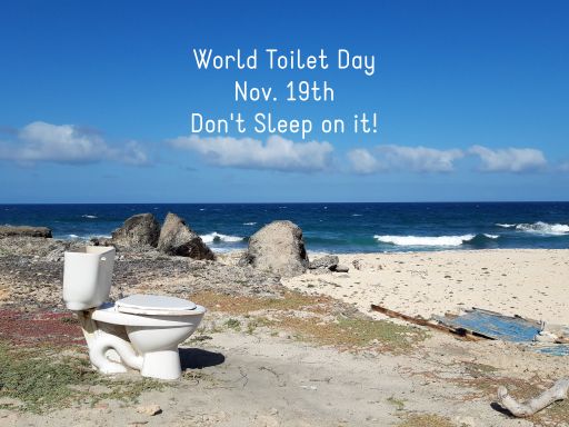 Why Is There a World Toilet Day?